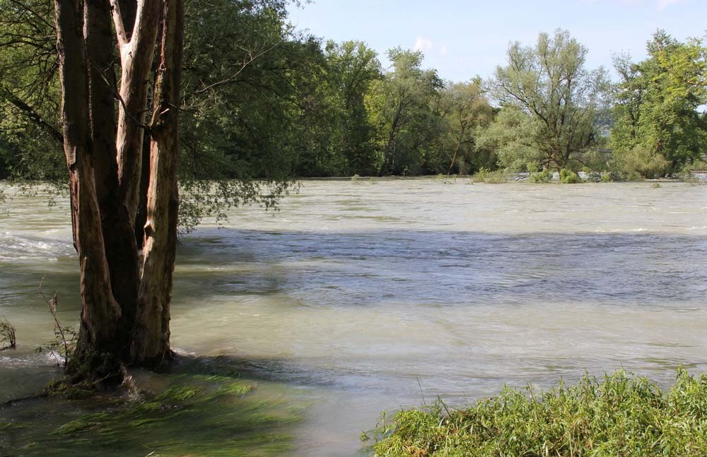 Aare River, between Brugg and Villnachern