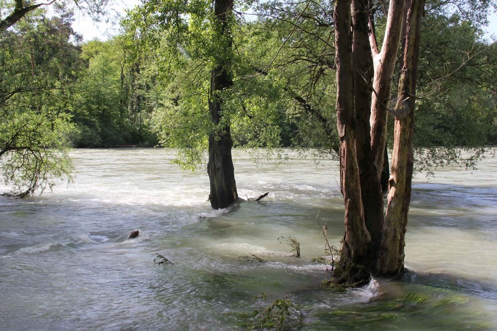 Aare River, between Brugg and Villnachern