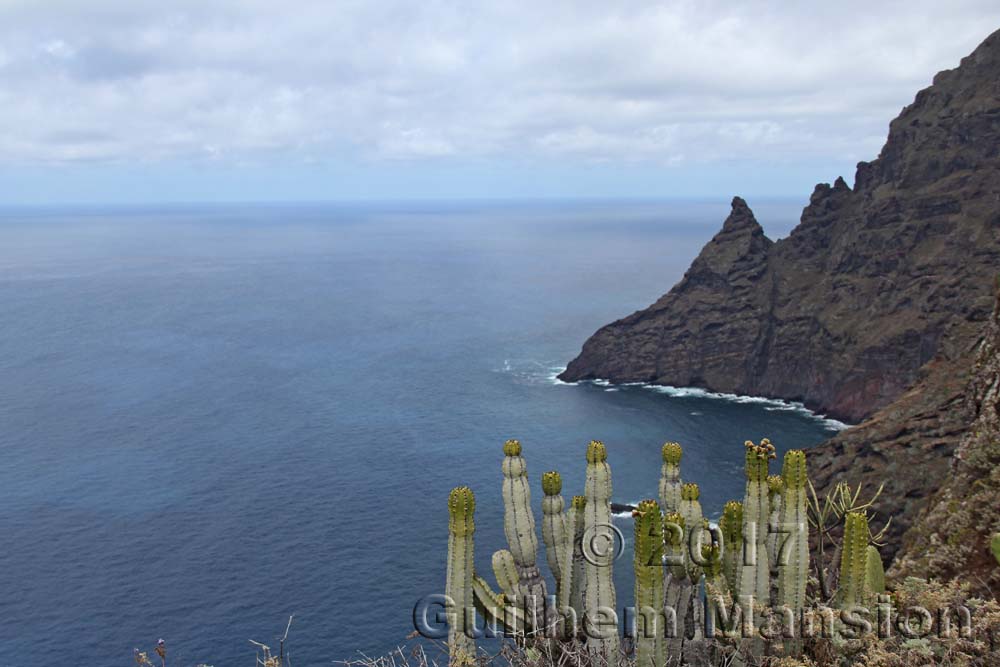 Punta del Hidalgo