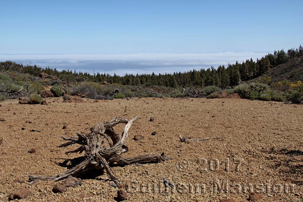 Teide