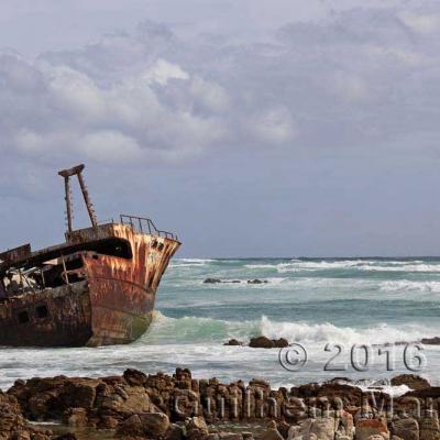 Balades et Voyages Botaniques