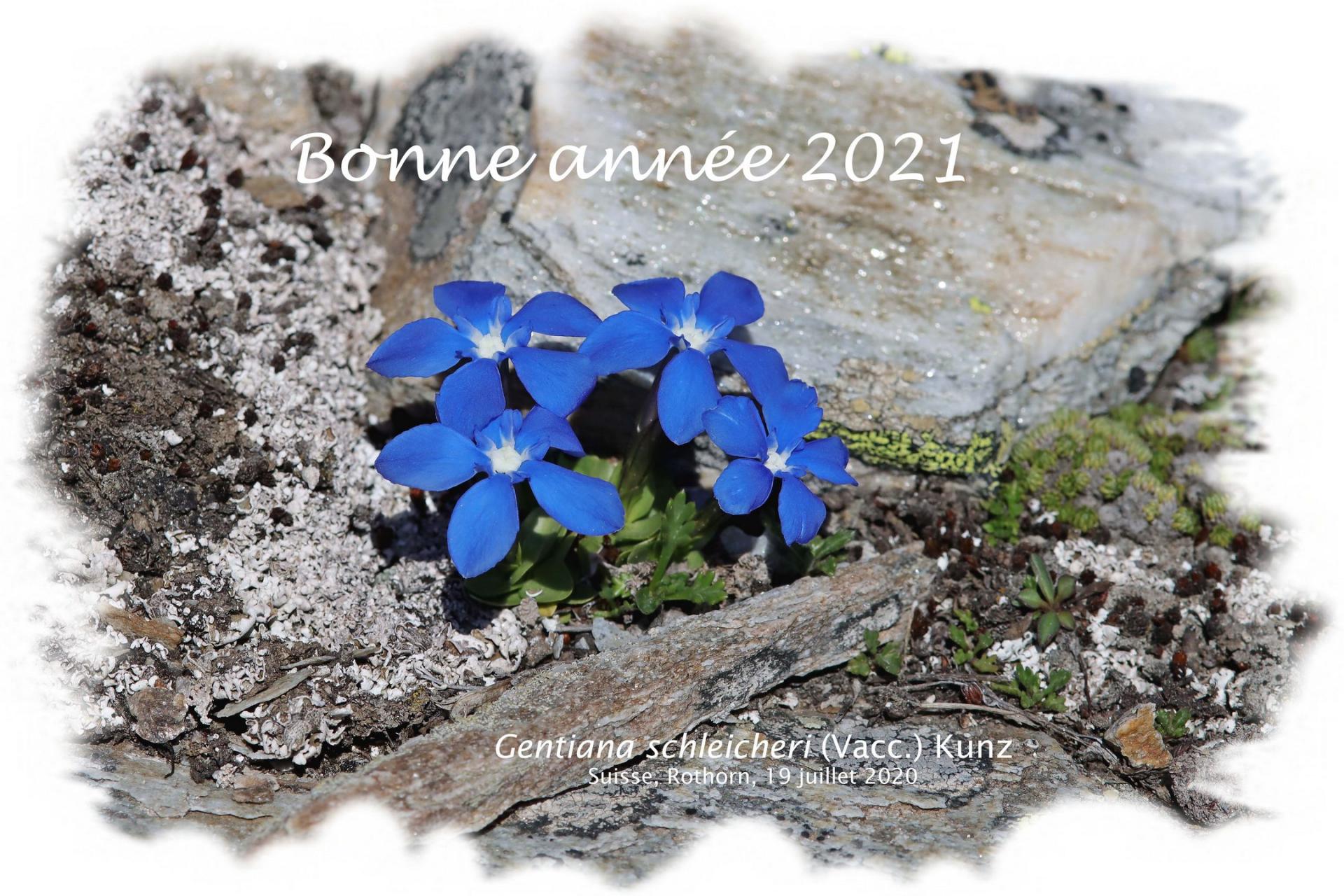 Bonne Année 2021